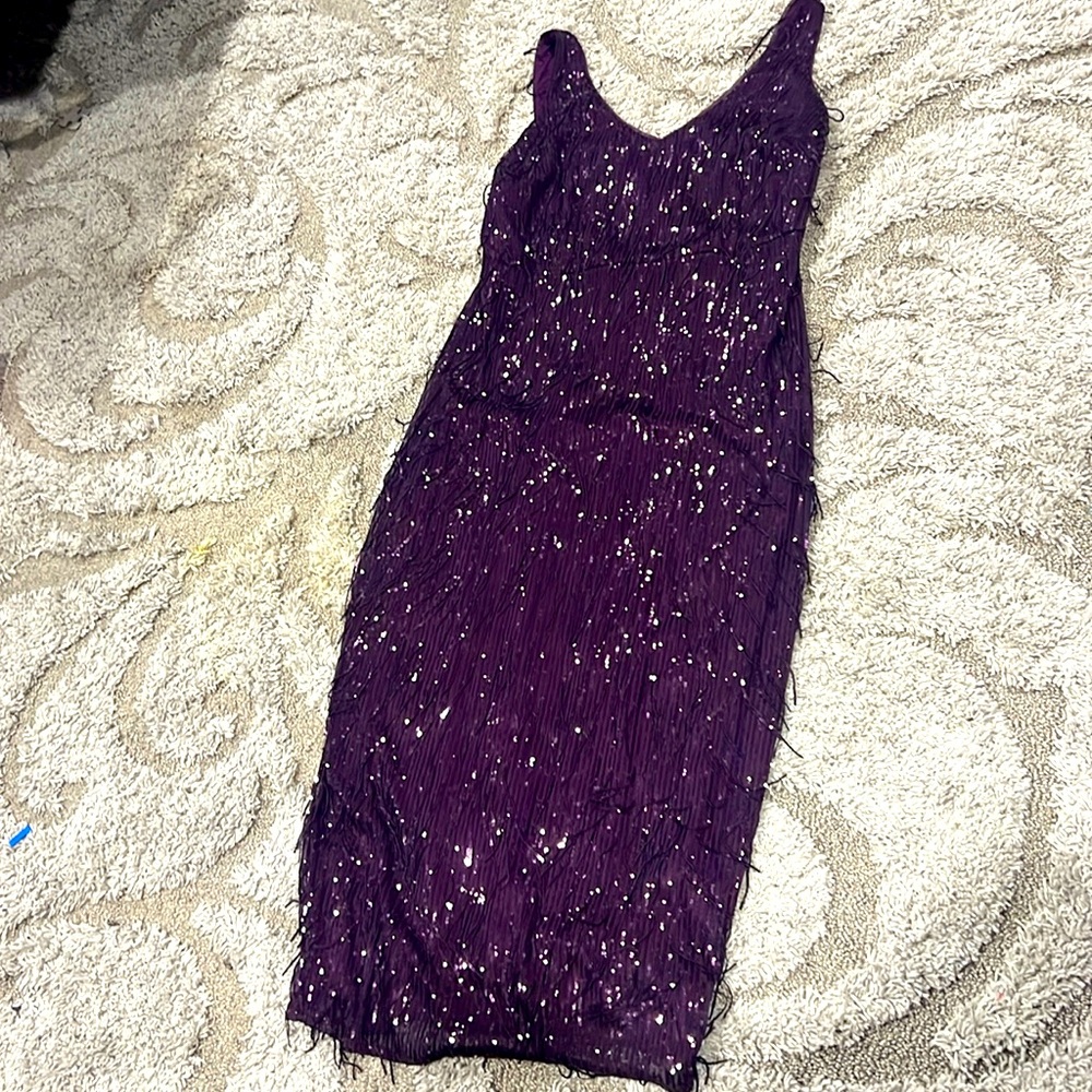 18W Plum Sequin & Fringe Long Dress